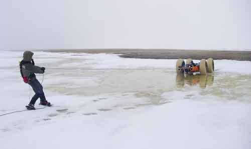 Tug-o-war crossing semi frozen stream