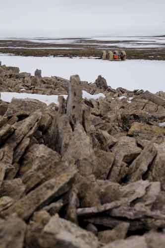Death Terrain. No comment.