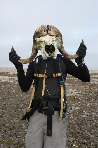 Clark pretending to be a muskox while I pretend not to be concerned about his sanity